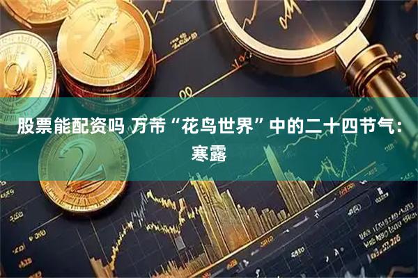 股票能配资吗 万芾“花鸟世界”中的二十四节气：寒露